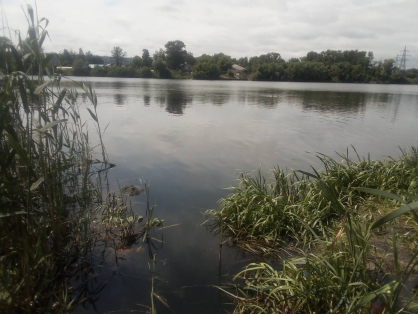 В Пензе ведётся расследование по факту смерти мужчины, найденного в реке
