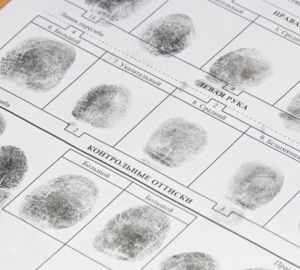 Зареченец, убивший гостя, отправится в тюрьму на 9 лет