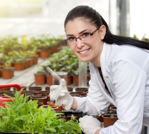 Россельхозбанк увеличит количество стипендиатов и размер стипендии в 2020-2021 учебном году