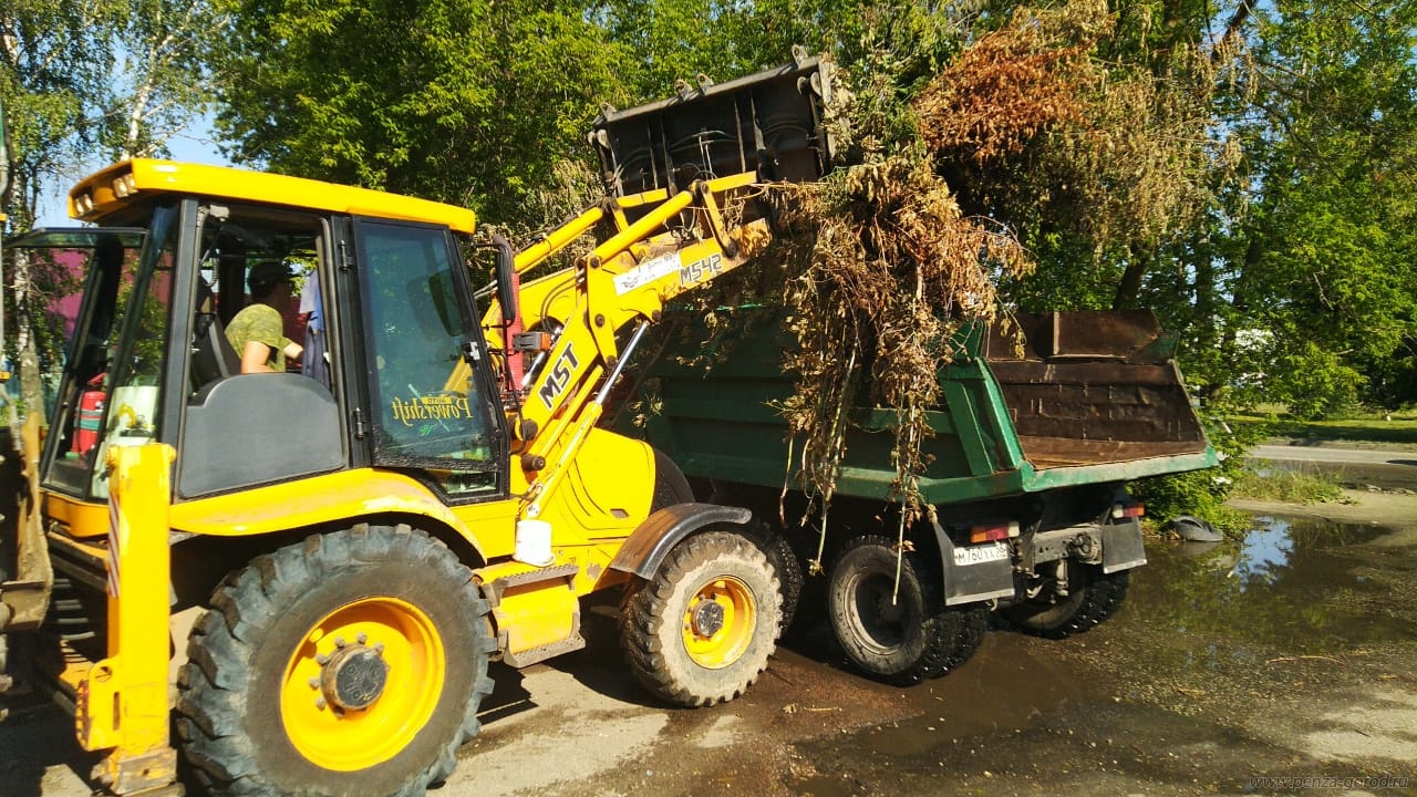 В мэрии Пензы подсчитали, сколько деревьев повалил ураган