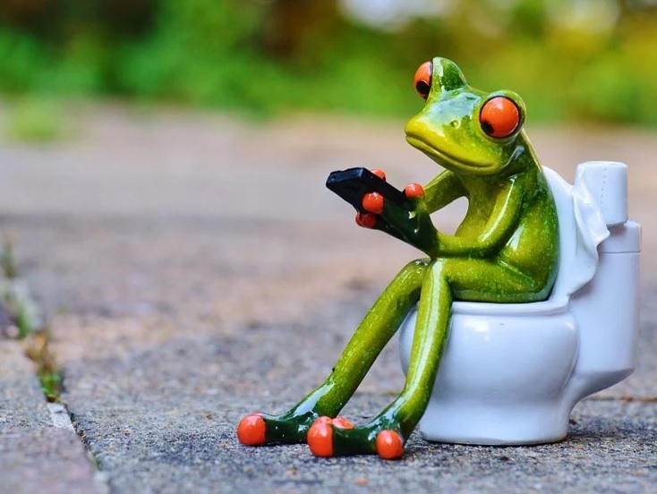 Когда в общественных местах Пензы появятся уборные?