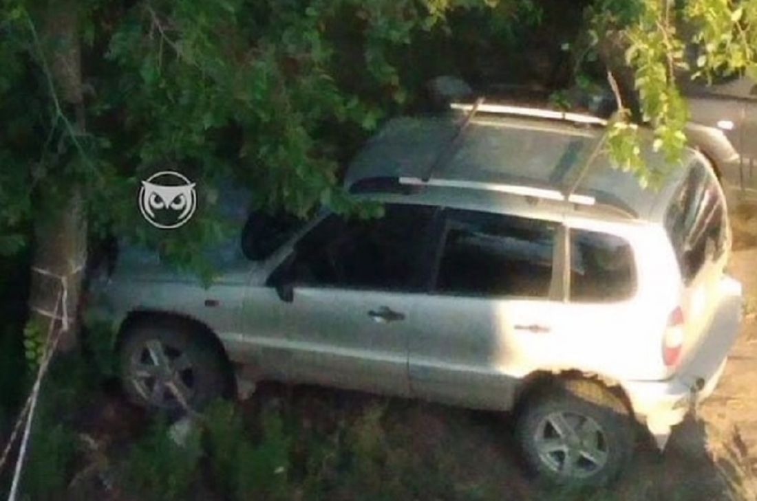 В Пензе нетрезвый водитель врезался в дерево и скрылся с места ДТП