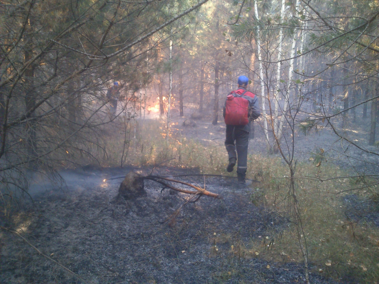 В Лунинском районе возник лесной пожар