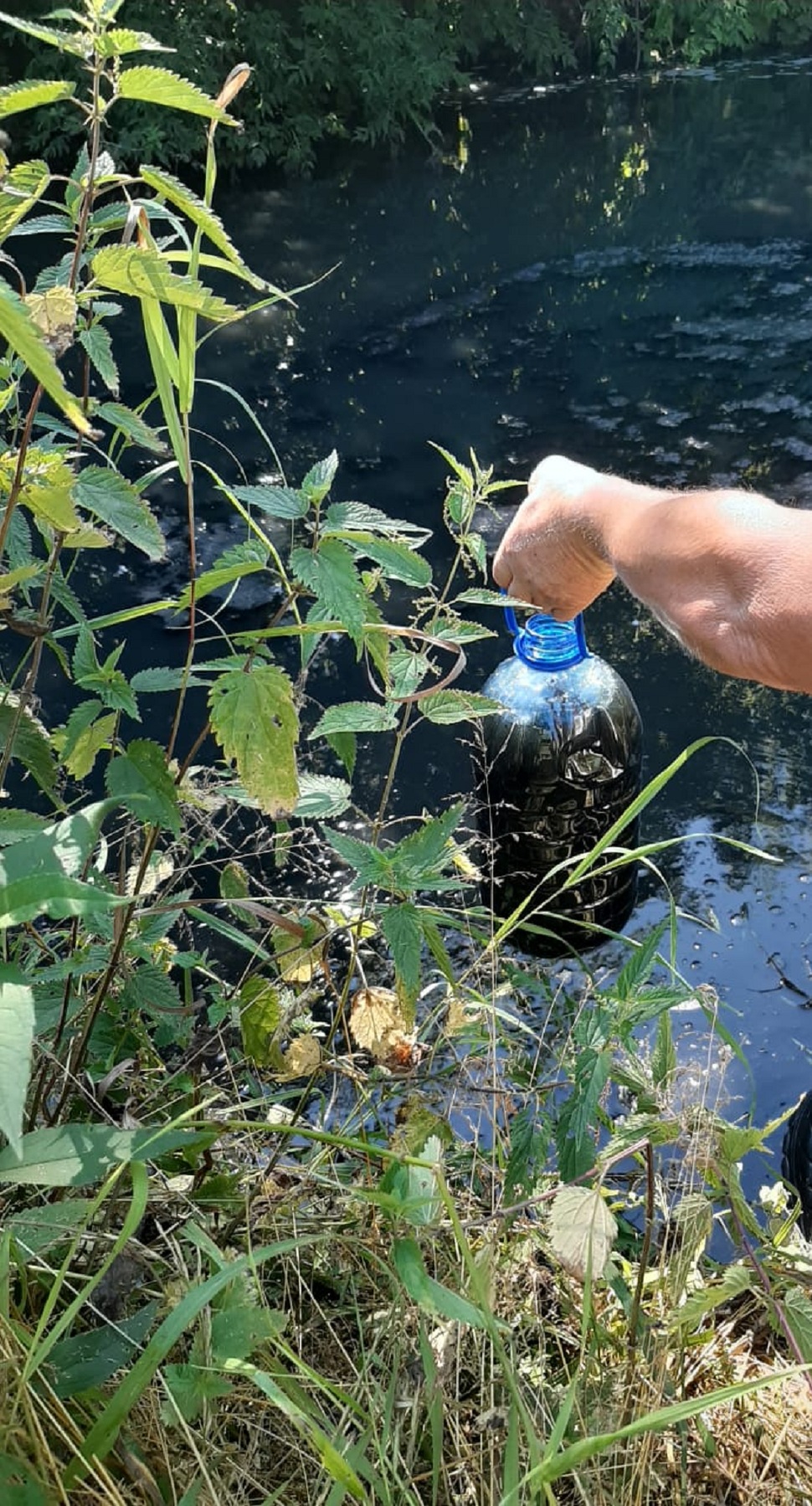 В Кузнецком районе в реке почернела вода