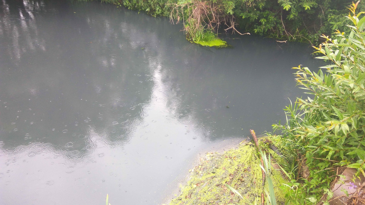 Кто превратил реку Ломовку в канализацию?