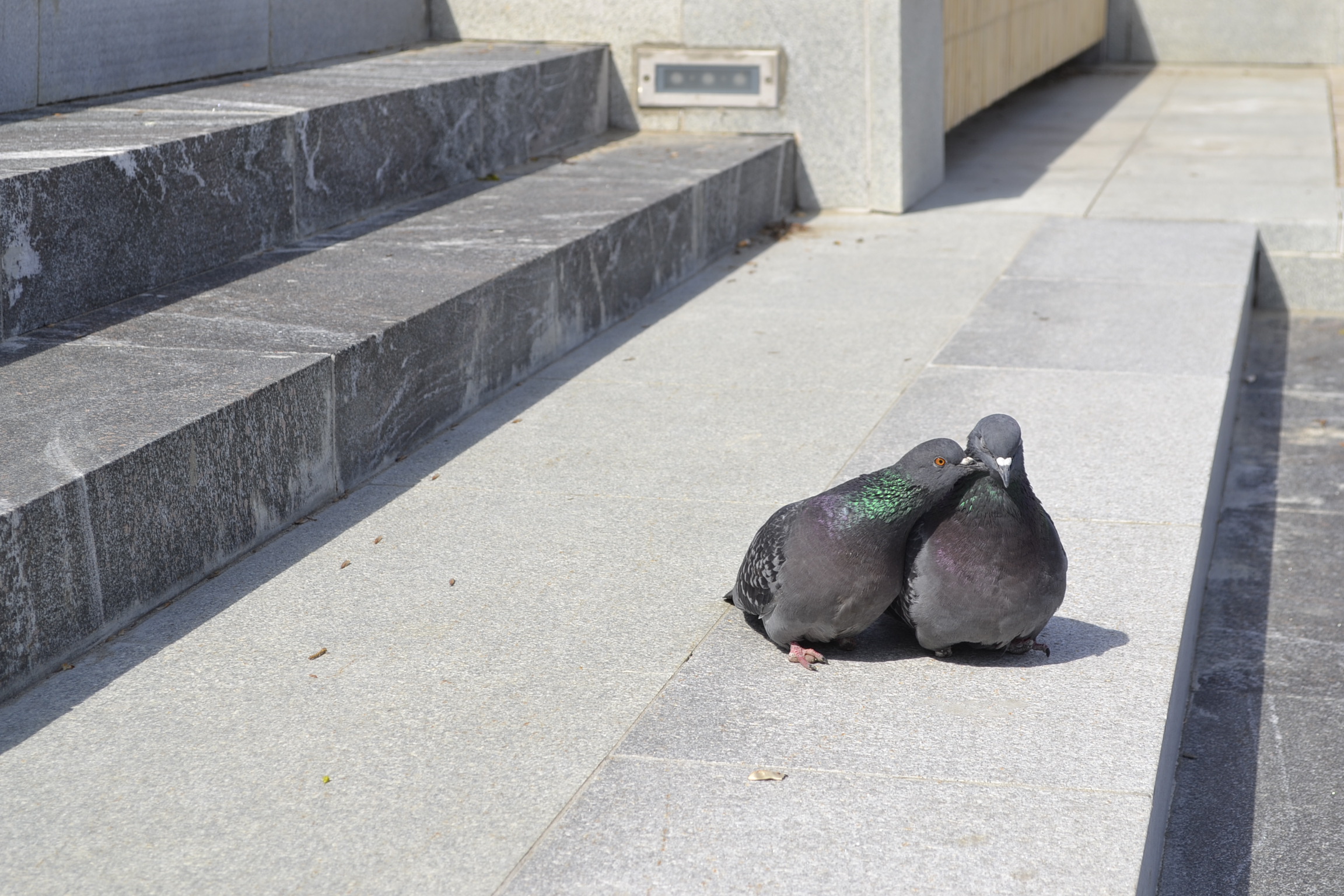 Пензячка перевела виртуальному американскому жениху 350 тысяч