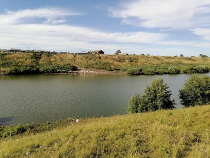 В Лопатинском районе рыбак запутался в леске и умер