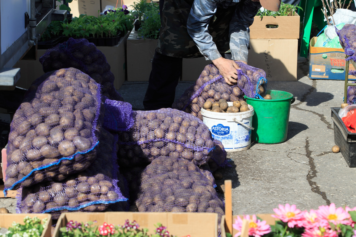 В Пензенской области выявили самые низкие цены на овощи в ПФО
