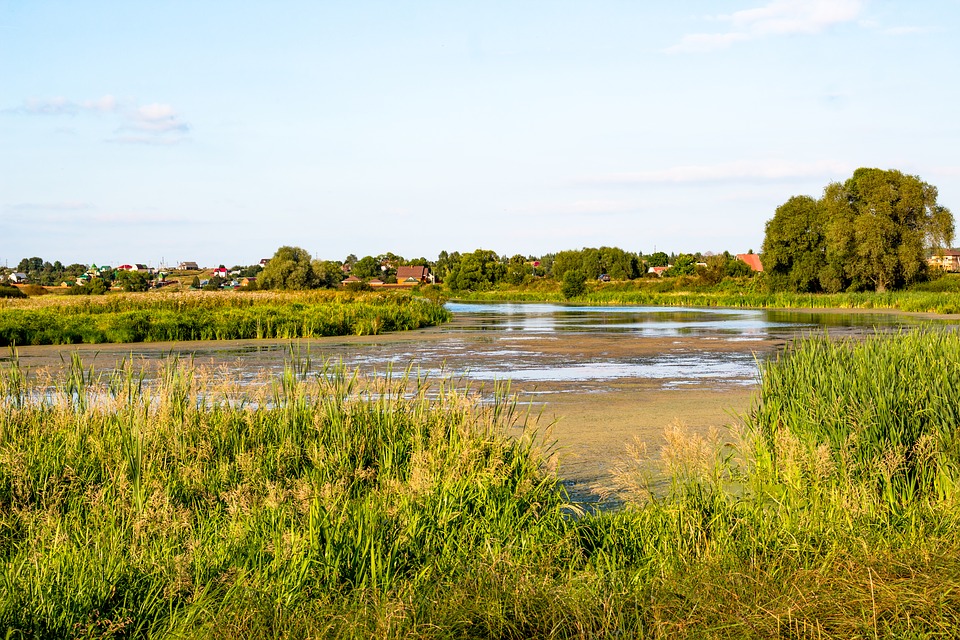 В Пензенской области из реки Хопер достали тело мужчины