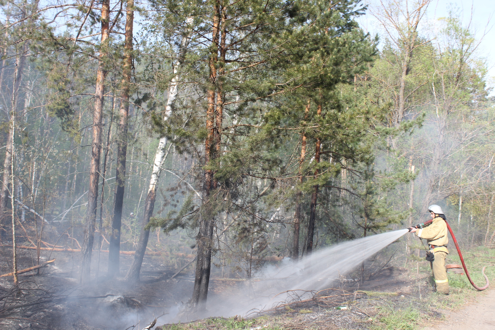 9 июля в Пензе сохранится 36-градусная жара и высокий класс пожарной опасности