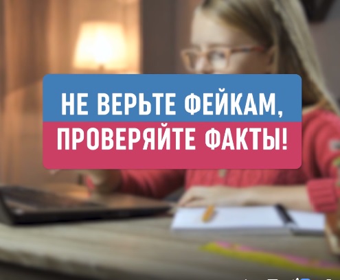 В правительстве Пензенской области опровергли мифы о дистанционном обучении школьников