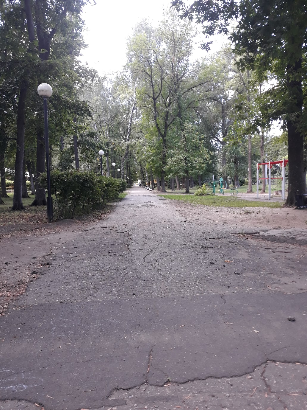 Прокуратура вынудила администрацию Комсомольского парка обеспечить нормальную охрану