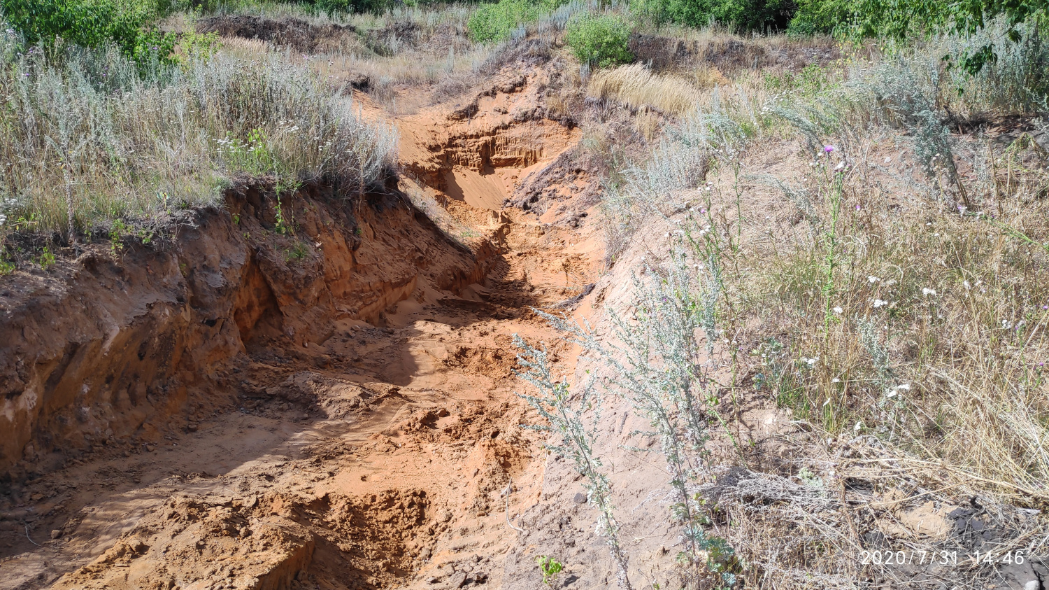 В Колышлейском районе незаконно вывозили полезные ископаемые
