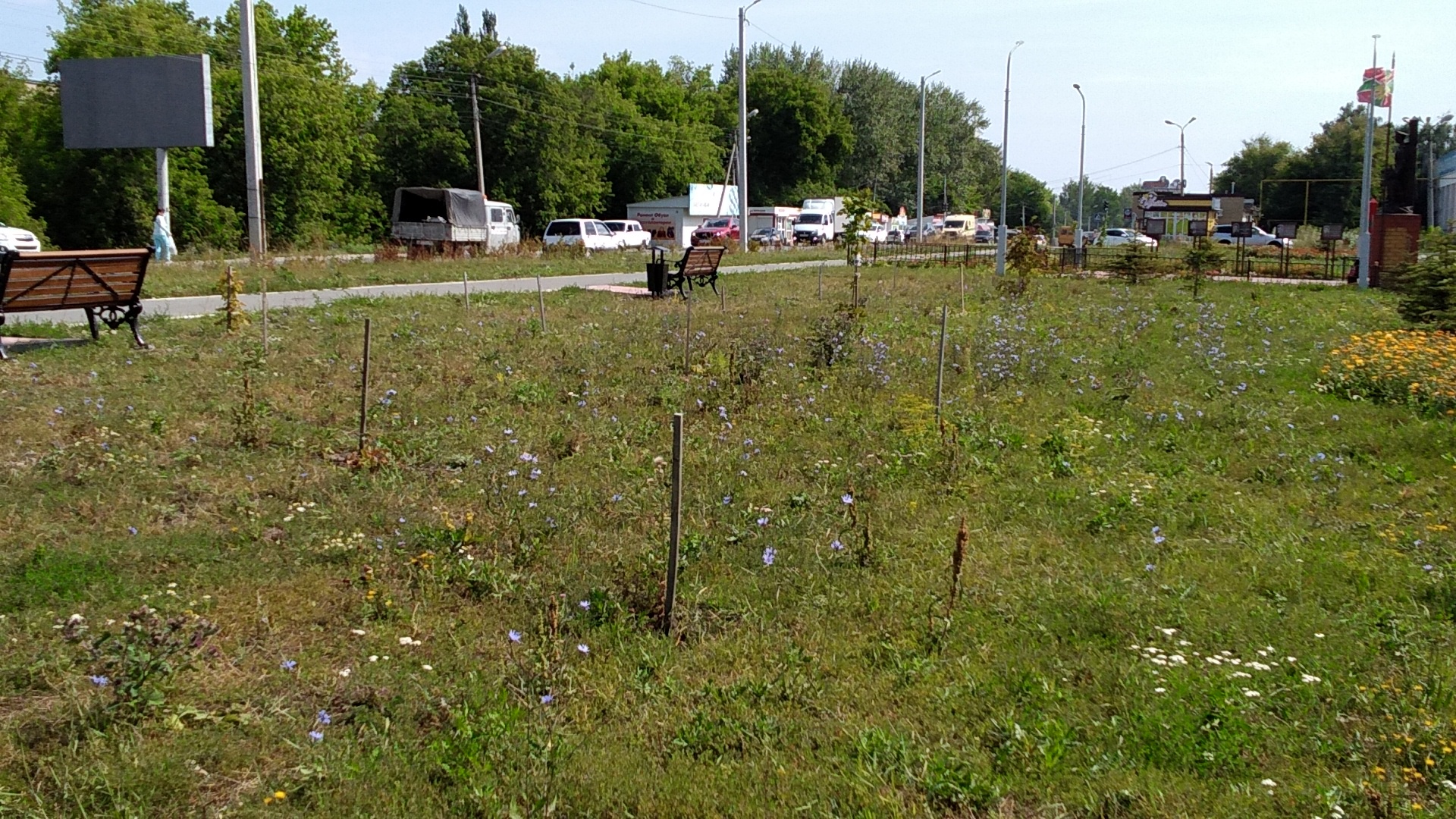 Мэр Кузнецка назвал ситуацию с вырубкой деревьев в сквере «пердимоноклем»