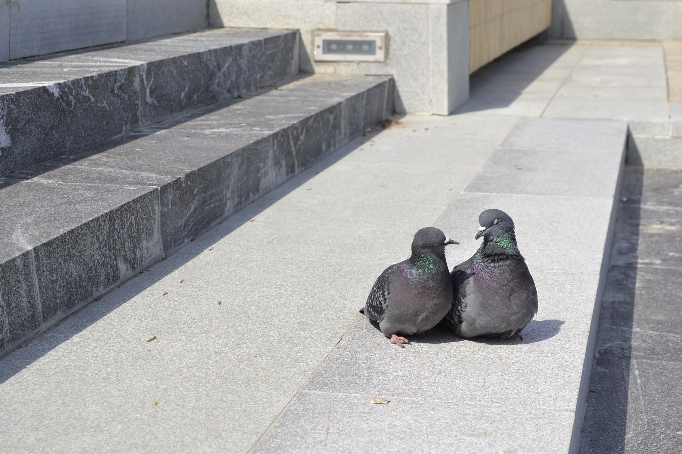 Житель Колышлея оклеветал любимую и понес уголовное наказание
