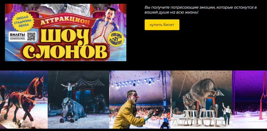 Цирк со слонами: пензенская прокуратура предъявила претензии организаторам шоу