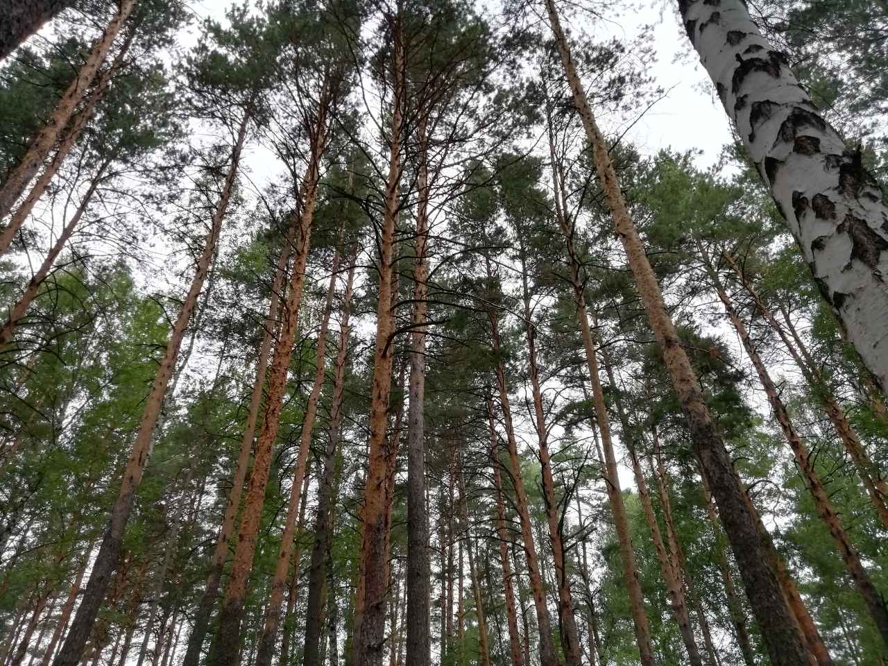 Довели до самоубийства? В Кузнецке нашли мертвого 10-летнего ребенка