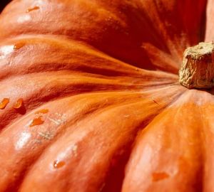 Осенние рецепты: тыквенный гратен