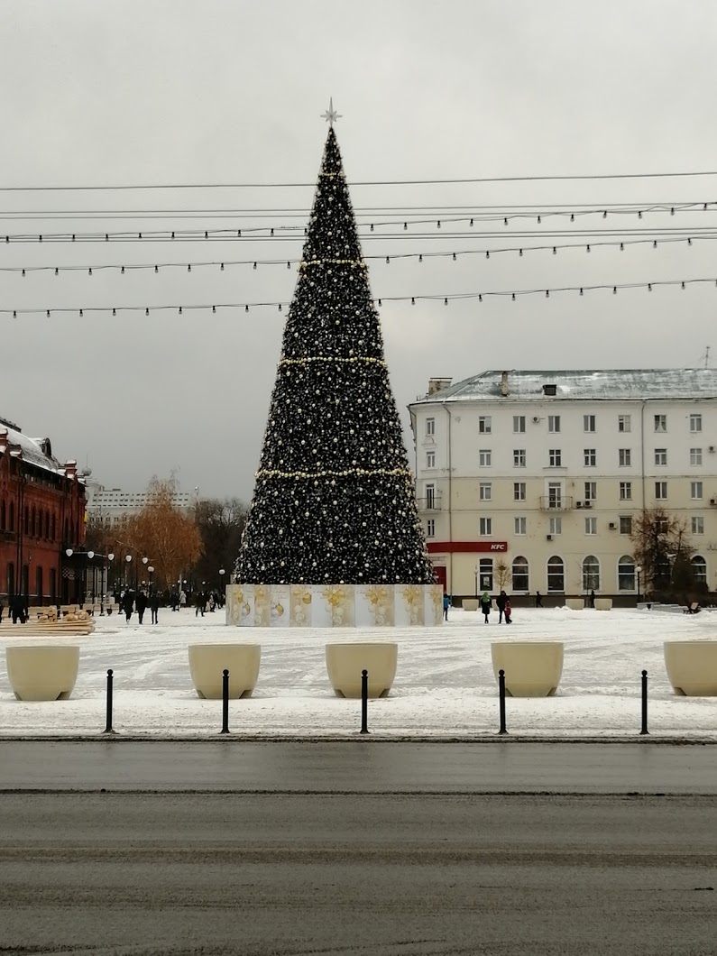 Власти Пензы определили, где установят Новогодние елки