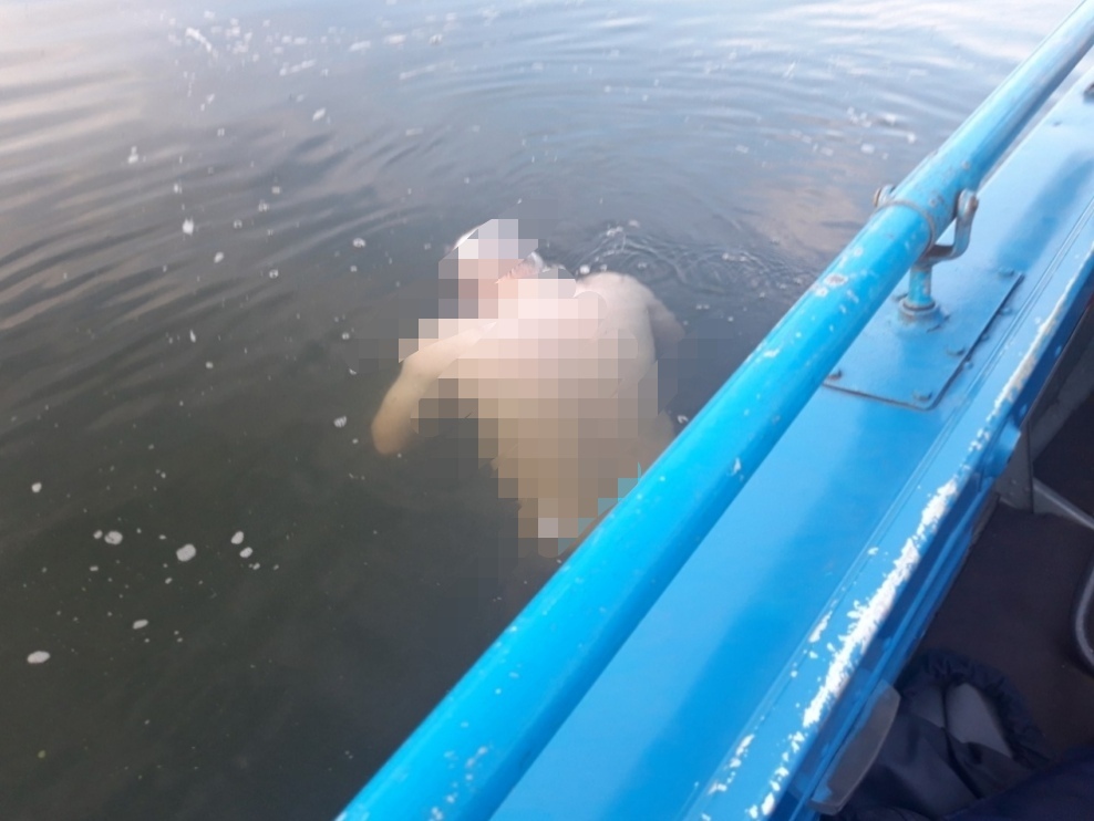 В Терновском затоне обнаружен труп мужчины