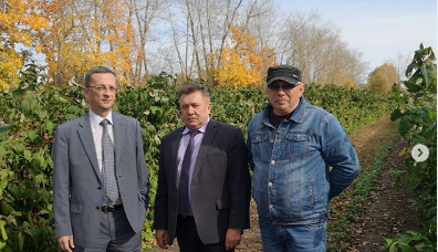 Глава Минсельхоза Роман Калентьев посетил посетил поля "Мокшанской ягоды"