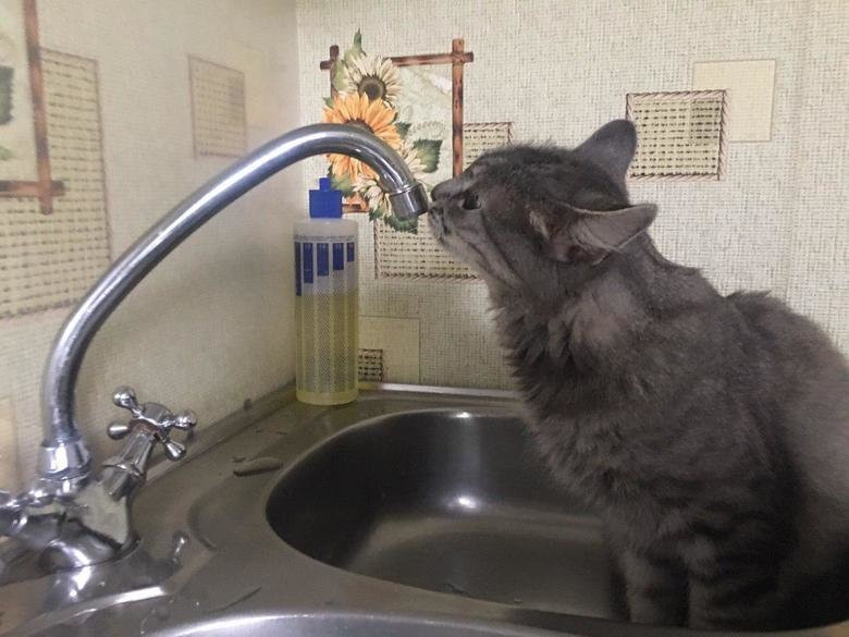 Жители Кузнецка с улицы Чкалова будут сидеть без воды