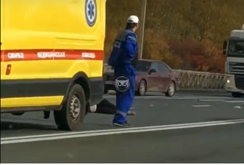 В ГИБДД выяснили, кто сбил пешехода на трассе М5 в районе Арбеково