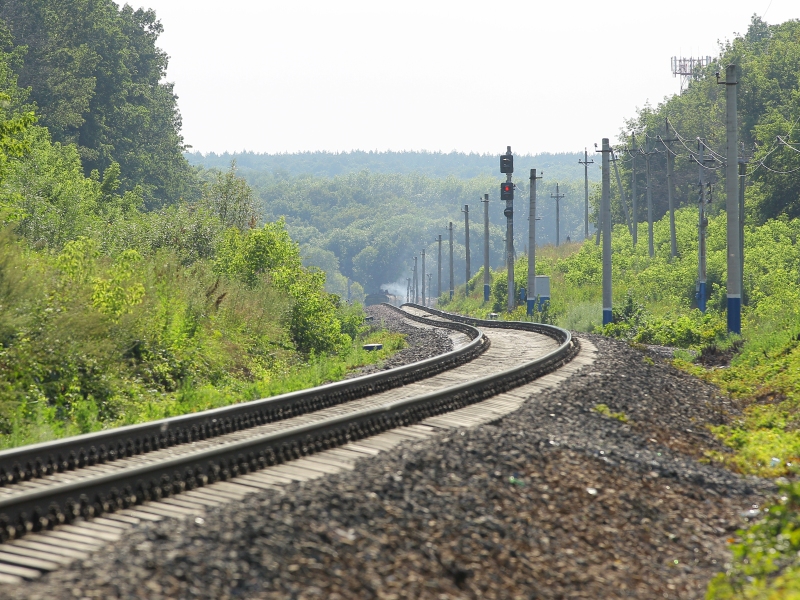 Планирует ли РЖД отмену поездов в связи с коронавирусом