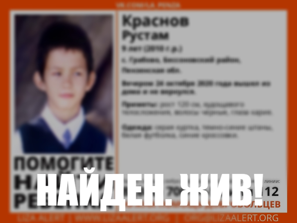 В Пензенской области нашли пропавшего 9-летнего мальчика