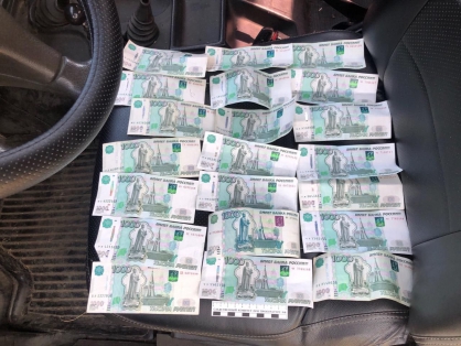 Житель Сердобска напал на родственницу и предложил полицейскому взятку