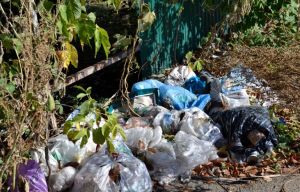 В Пензе не планируют строить новый мусорный полигон