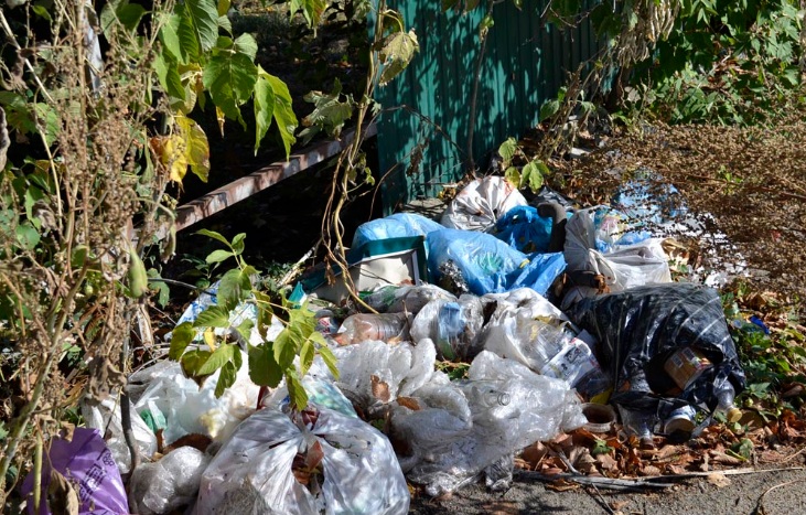 В Пензе не планируют строить новый мусорный полигон