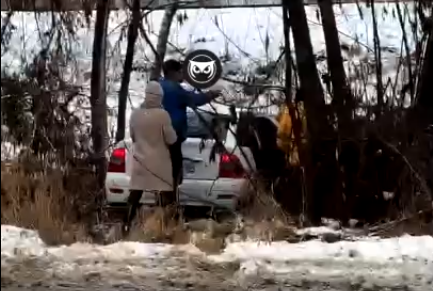 В Пензе приора вылетела с трассы и застряла в кустах