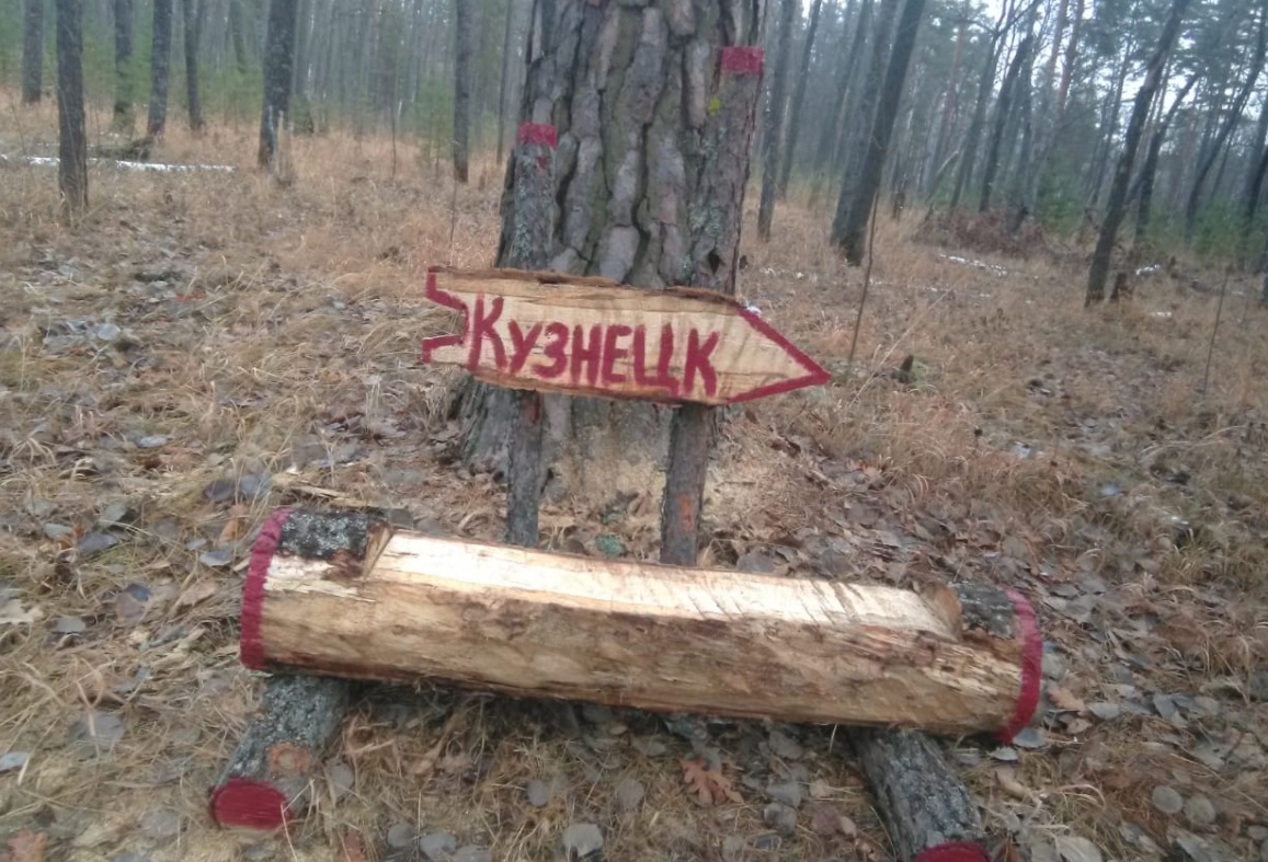 Скамейки-навигаторы появились в лесах Пензенской области