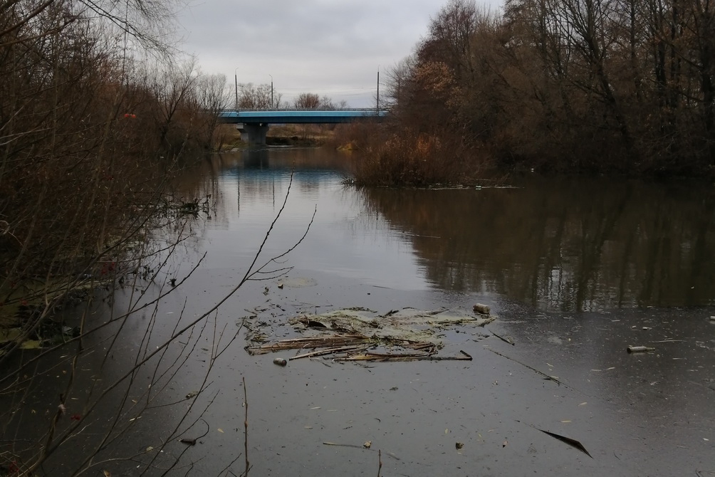 Спасатели несколько дней собирали нефть с поверхности реки Пенза