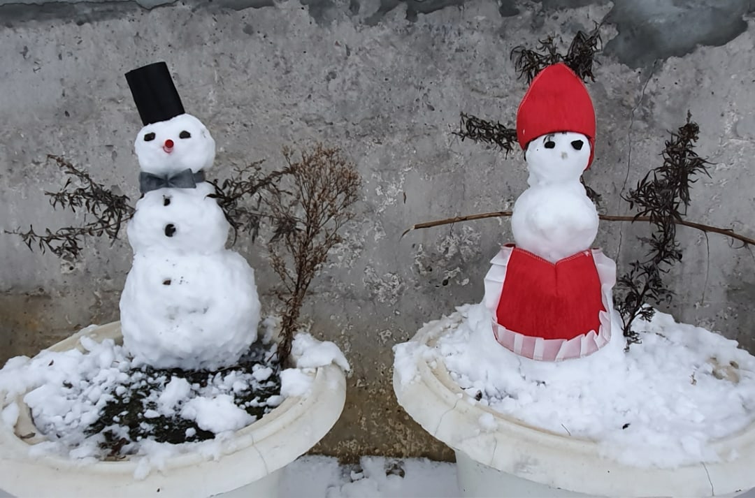 Жители Пензенской области поделились фотографиями креативных снеговиков
