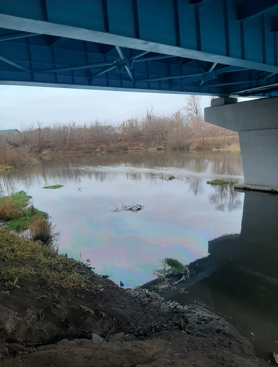 В Пензе специалисты не смогли найти источник розлива нефтепродуктов по реке