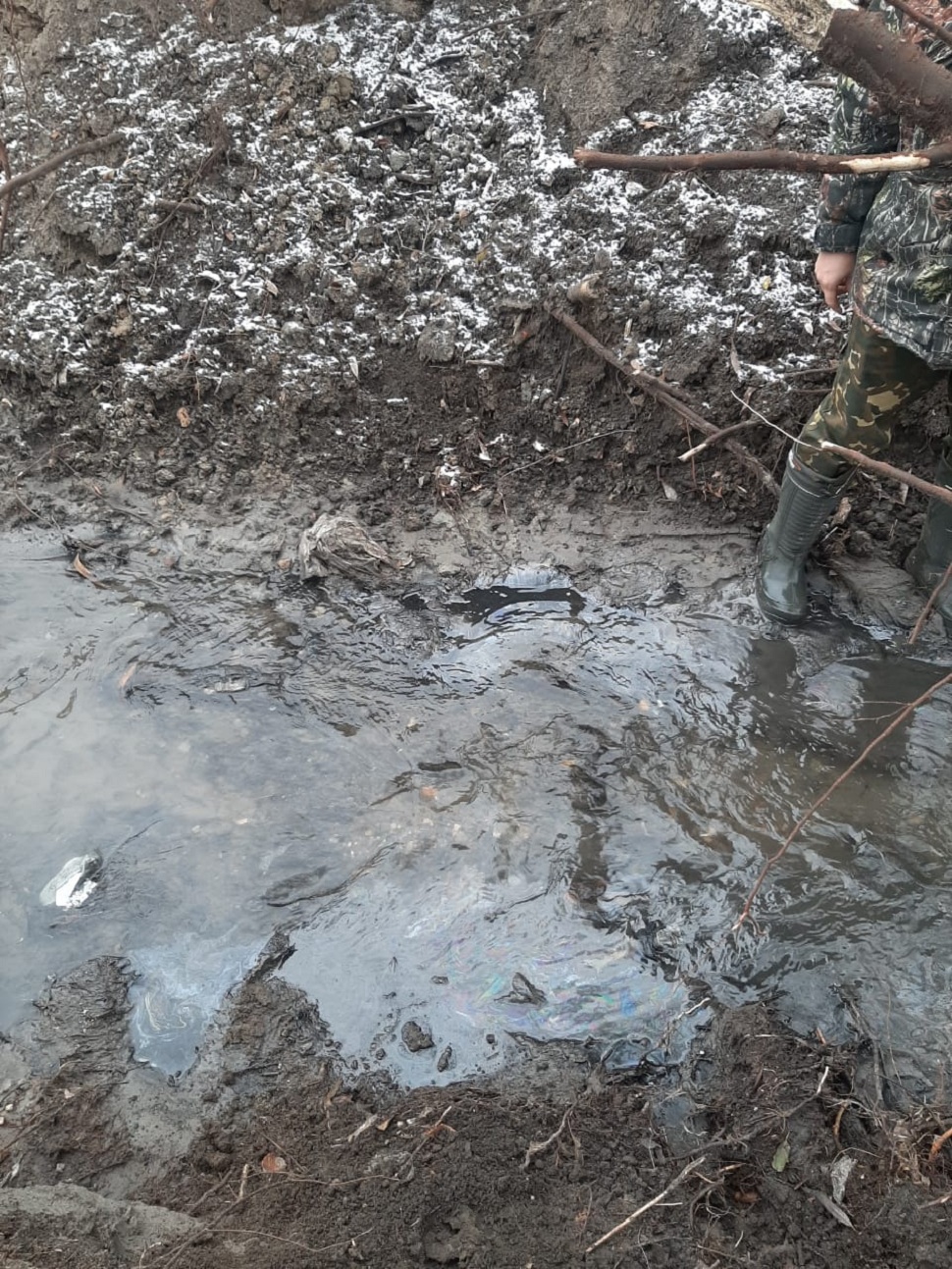 Экологи выяснили, кто загрязнял реку Пенза и Ардым