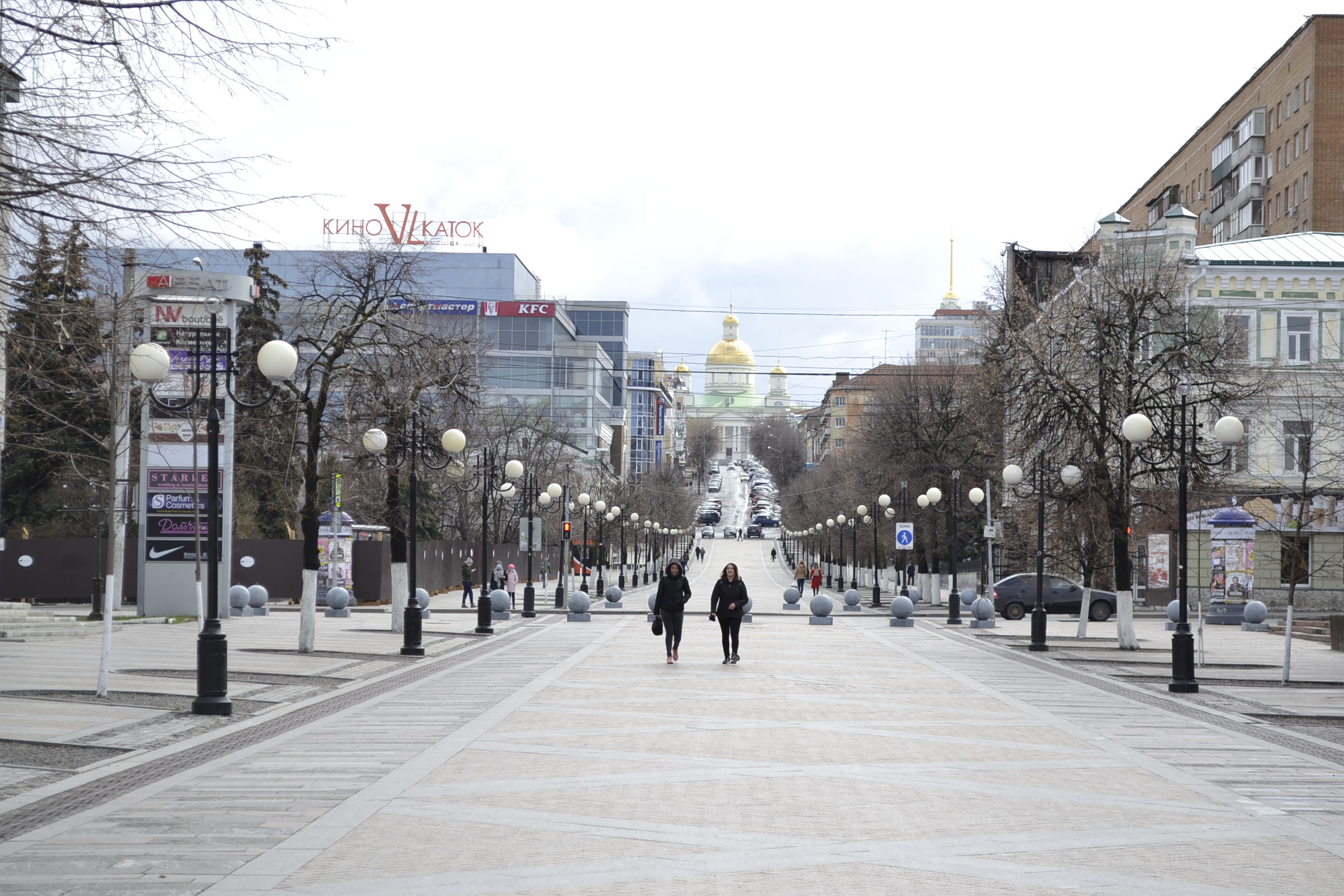 В Пензенской области коронавирус атаковал 14 районов и два города