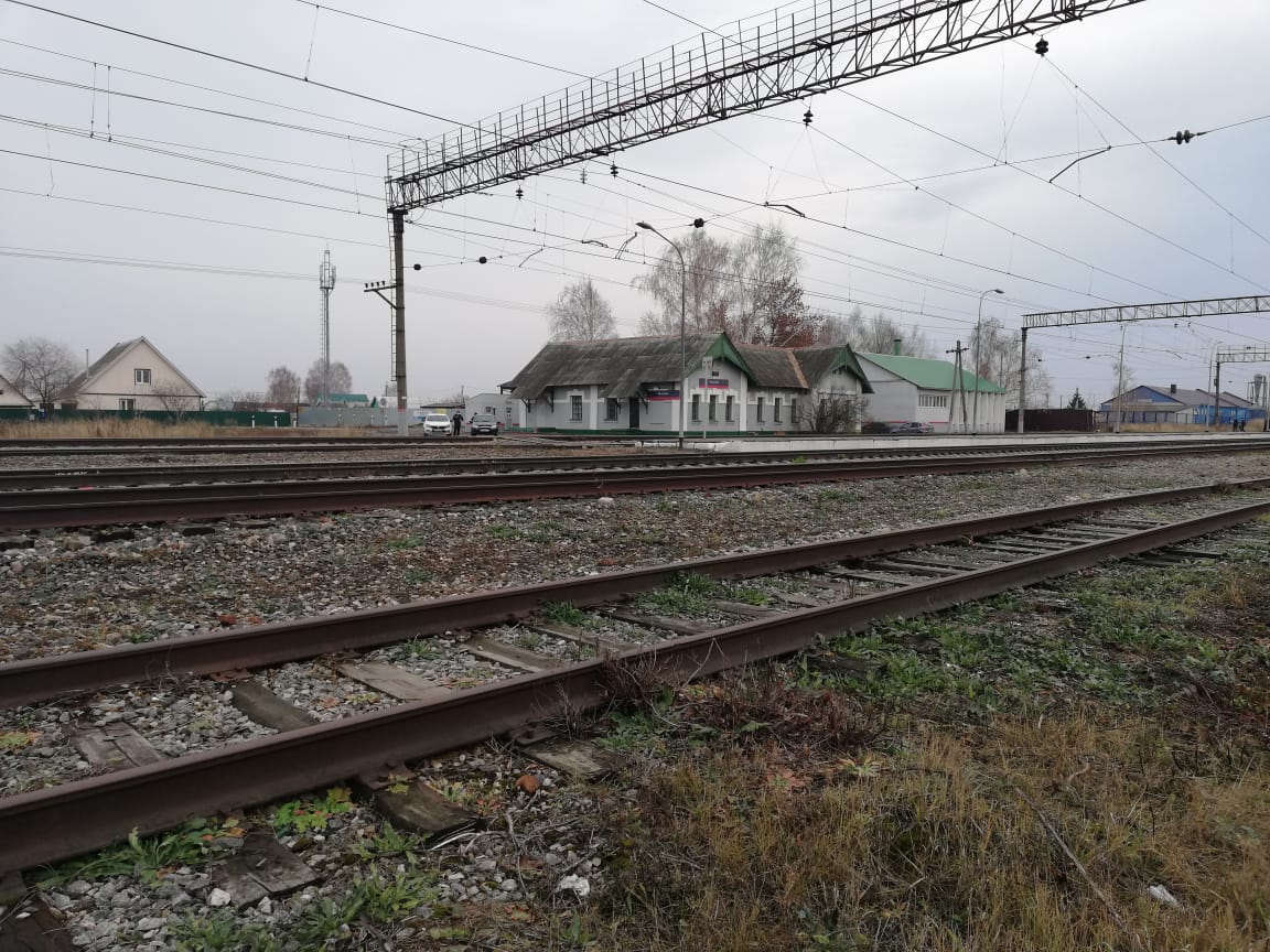 Обвиняемый в убийстве подросток из Бессоновки сам привел полицию к телу мертвой подруги