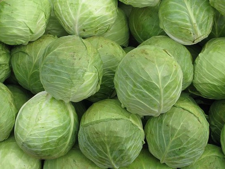 В 2020 году пензенцы могут позволить себе купить больше капусты, яиц и кур