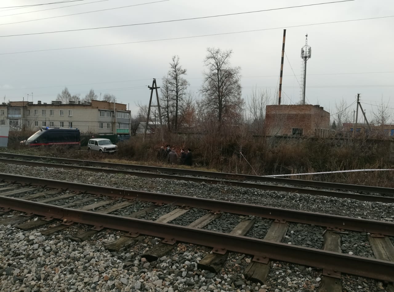 Причиной жестокого убийства 17-летней девушки в Бессоновке могла стать ревность