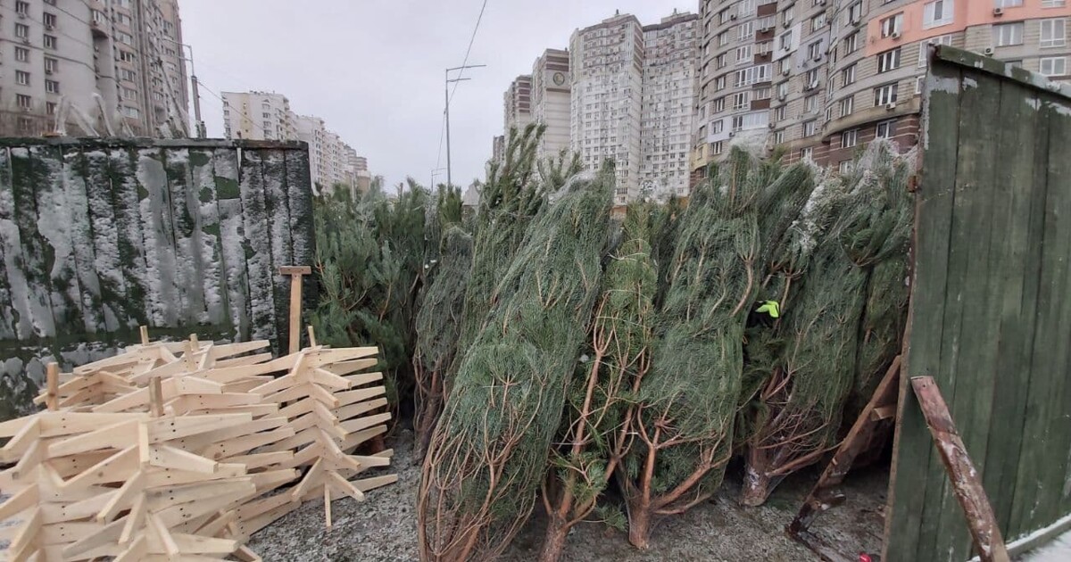 В Сербодске открылись ёлочные базары