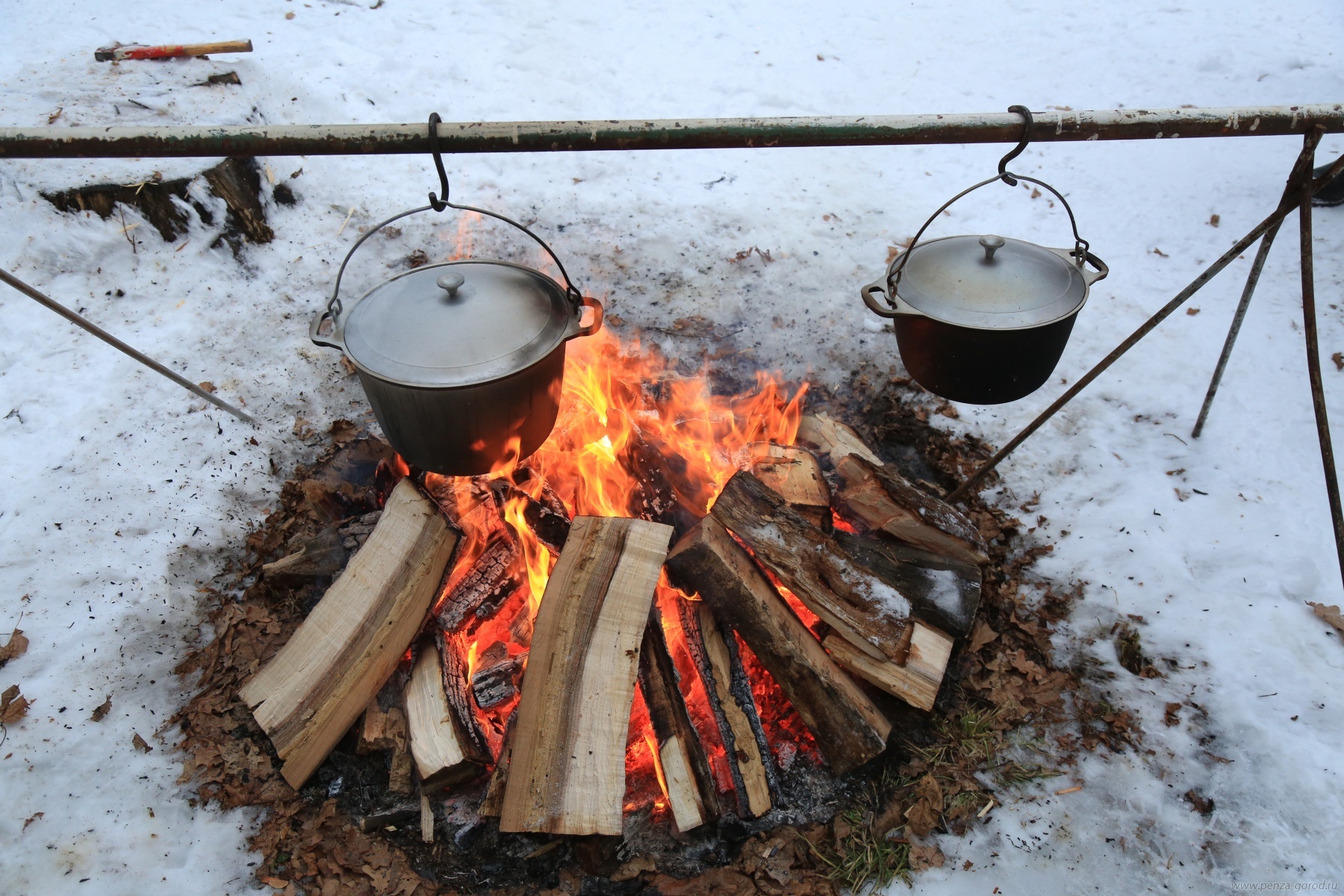 В Пензе пройдет новогодний пикник «Парк собирает друзей»
