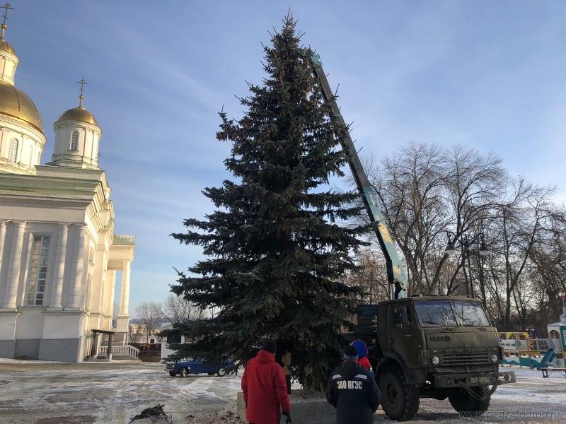 В Пензе на Соборной площади впервые появилась живая ель