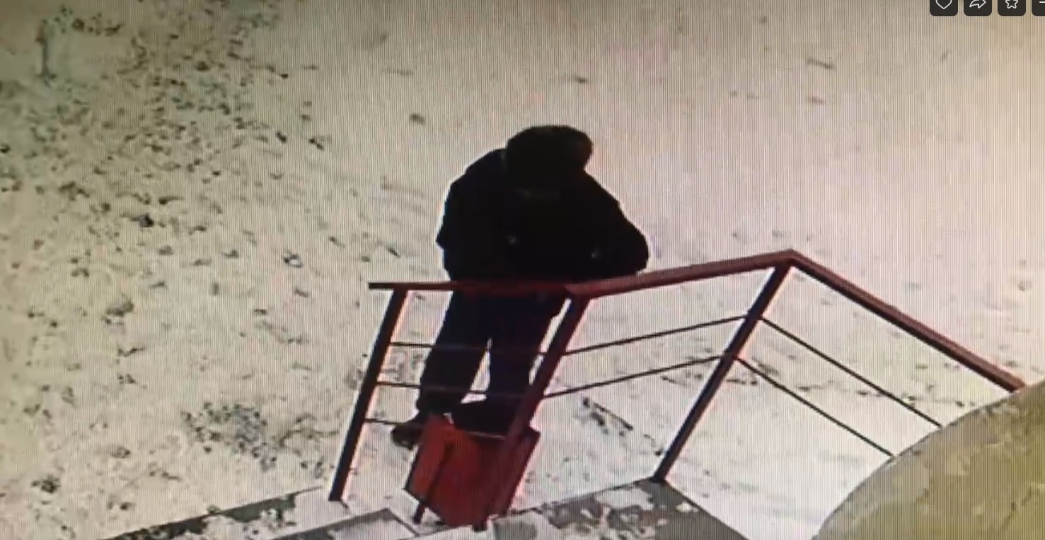 «Довели»: для похода в магазин пензенец украл маску из урны