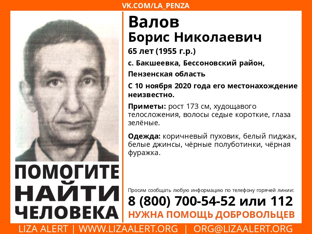 В Пензенской области разыскивают 65-летнего мужчину