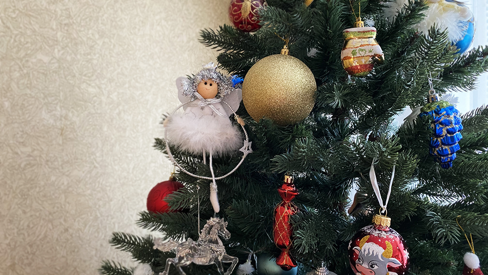 Покупка несуществующей ели обошлась пензячке в круглую сумму