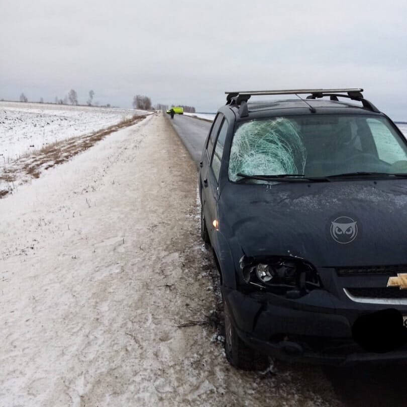Стали известны подробности аварии под Пензой, в которой умер велосипедист