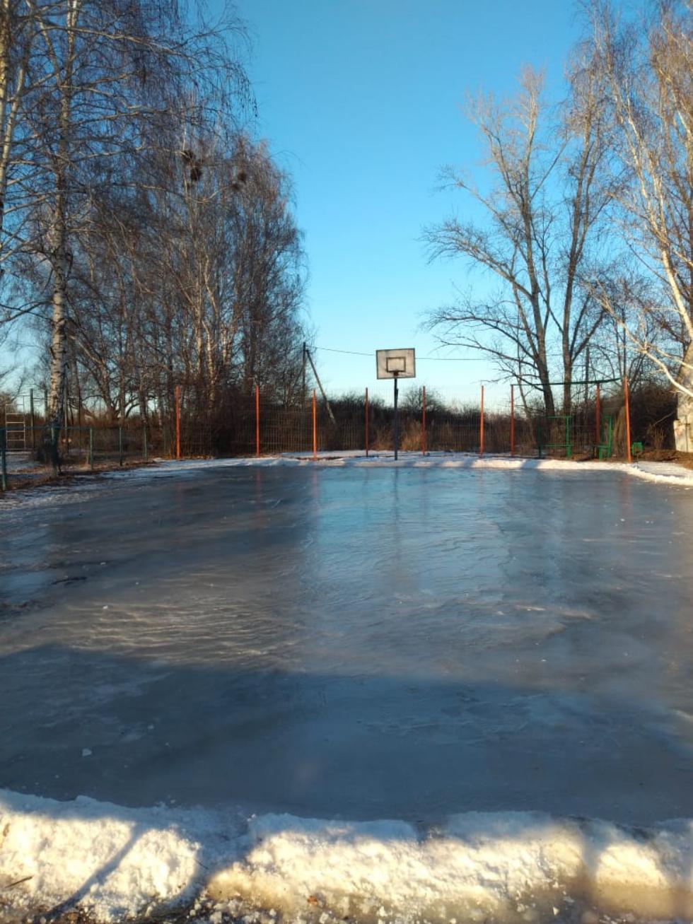 Жителей Сердобского района приглашают на ледовую площадку